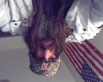killemall