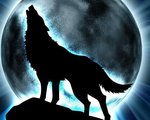 wolfladd
