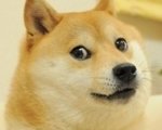 TheTrueDoge
