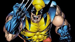 Wolverine Logan