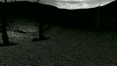 Lonely girl met a man and woman in the woods and they two began to fuck her