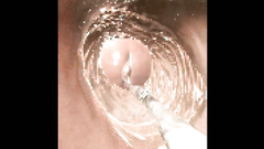 Extreme 3d outdoor anal sex