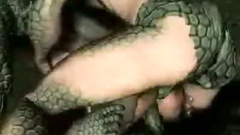 Bang of male lizards fucks fantastic 3d girl