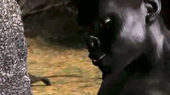 Sexy 3d woman fucks with a kinky centaur