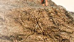 Beauty brunette with perfect body and perky tits in 3D Fantasy Sex World