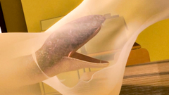 Long tentacles snake penetrate into wet holes lonely schoolgirl