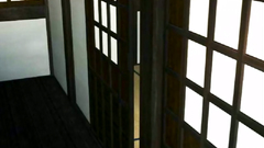 3D Geisha meets the owner showing their hairy pussies