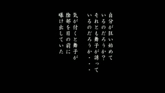 3D Geisha meets the owner showing their hairy pussies