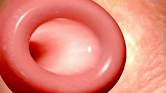 3d bimbo is tied and deeply screwed by a horny creature