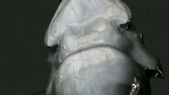 Kinky tentacles fuck young 3d beauty in her mouth