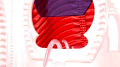 Wet tentacles gently wrapped the 3D girl in black stockings