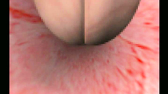 Stunning 3d girl bangs with her boyfriend who loves it hardcore