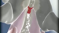 Outdoor fucking on cute and kinky Furry creatures