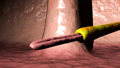 Amazing 3d girl in fucked by many tentacles who love young school girls' cunts