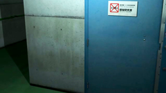 Huge monkey is fucking hot brunette in rough 3d porn