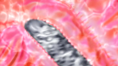 Watch big tits of a 3d hottie bounce and the mouth get fucked