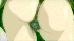 Sexy hentai whore in amazing lingerie gets hardcore doggy style fuck