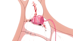 Lovely brunette gal enjoyed by hardcore drilling