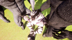 FMM Threesome Furry Zebra Double Penetrated by Huge Cock Horses Yiff 3D Hentai