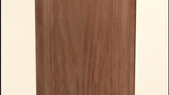 Two sexy cartoon babes sharing one hard 3D cock