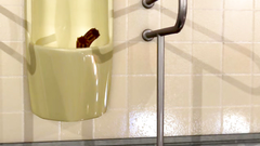 Kinky creature pokes brunette into her mouth in cartoon porn