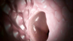 Amazing dark-haired slut loves hardcore drilling in her holes