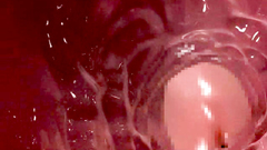 Deep and hardcore anal pounding for a lustful 3d slut