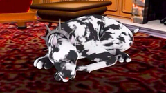 Lonely redhead gal needs some love and sympathy