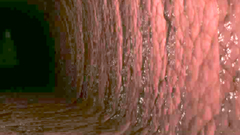 Skinny 3d cutie gets pleasure from tentacles teasing