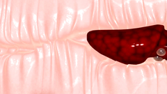 3D porn cartoon - babe's pussy explored well