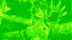 Busty tanned blonde schoolgirl and her first sex experience