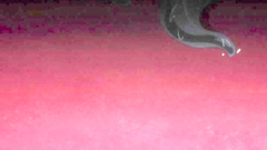 Lovely elf babe with git tis shows her gape in hentai porn toon