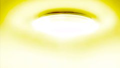 Young brunette hentai with big ass and huge boobs