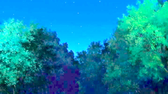 Lovely young long-haired girl seduced and deeply fucked in her cunt