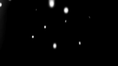 Best hentai erotic sex videos with sexy girls that love to fuck