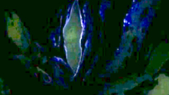 Erotic hentai cartoon sex video with pretty babes and handsome knights