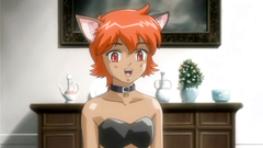 Fantasy tales with hardcore and brutal BDSM fetish