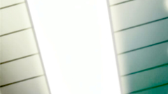 Delightful hentai chicks have some problems with their lust