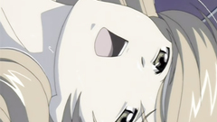 Delightful hentai chicks have some problems with their lust