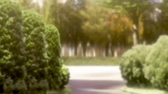 Delightful hentai chicks have some problems with their lust