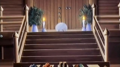 Naughty and seductive babes in hentai porn cartoon