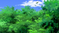 Young cuties passionate bang on the fresh air