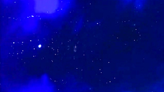 Lustful brown-haired babe can't live without hardcore pounding