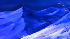 Erotic hentai cartoon with young and seductive babes