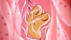 Big breasted babes looks very hot in erotic xxx toon