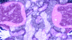 Passionate banging for busty hentai babes with bubble butts