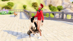 Test video 000000003