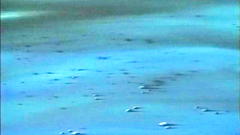 Hentai erotic toon with awesome adventures