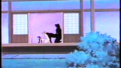 Long-haired brunette babe gets doggystyle pounded