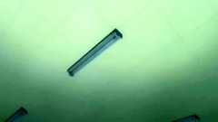 Horny teenage busty sluts get what they deserve